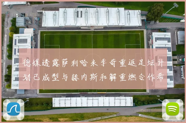 德媒透露萨利哈米季奇重返足坛计划已成型与赫内斯和解重燃合作希望