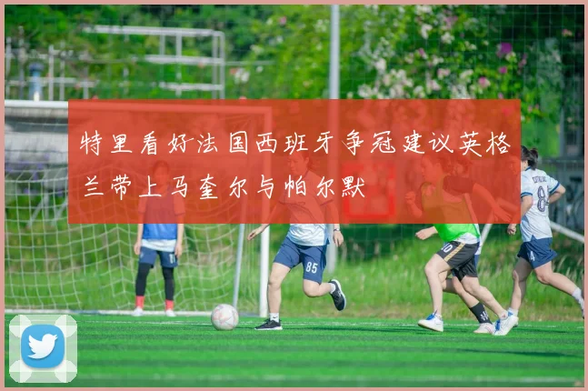 特里看好法国西班牙争冠建议英格兰带上马奎尔与帕尔默